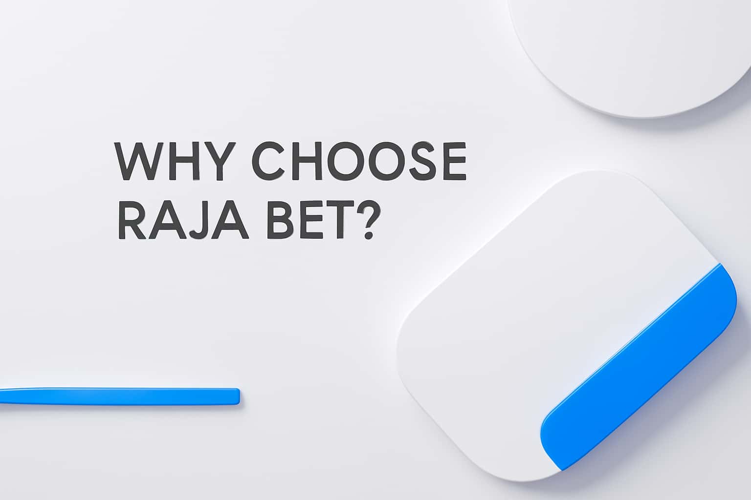 Why Choose Raja Bet? Interface